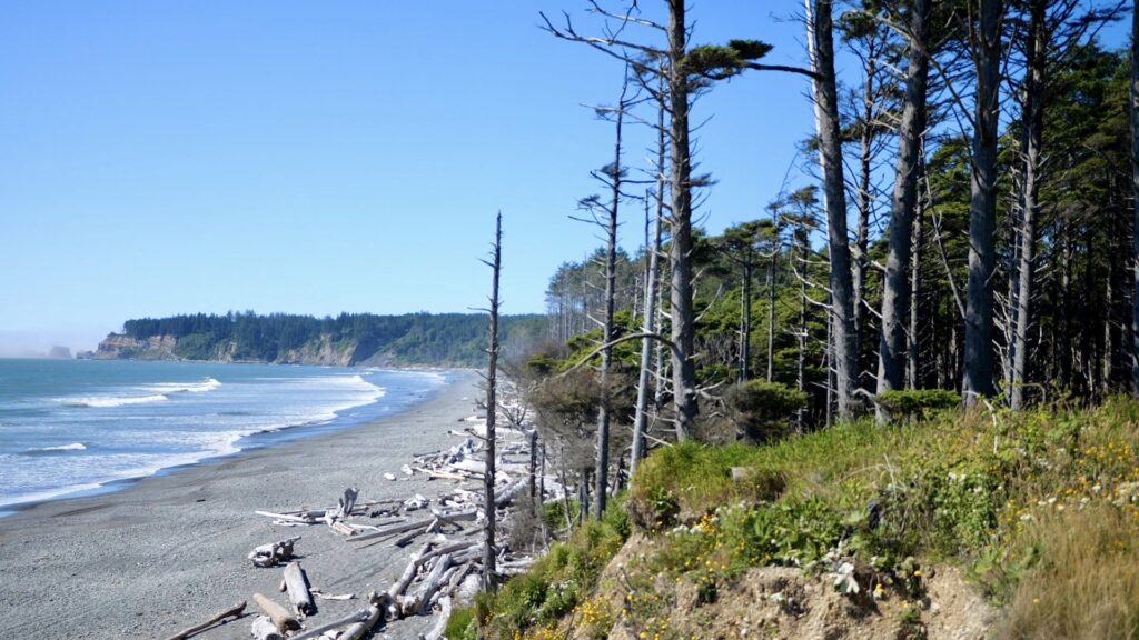 Coastline on a clear day